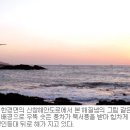 희망 이미지