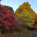 단풍세탁소 이미지