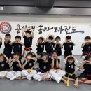 용인대점프태권도 이미지