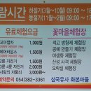 엄마아빠어렸을적에 티스토리