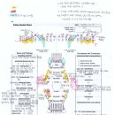 명덕동물병원 이미지