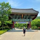동백골식당 이미지