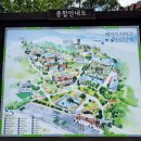 자동차관리보관소 | 세종 가볼만한곳 베어트리파크 후기 포토스팟 식당 카페 현황