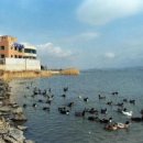 철새탐조대 이미지