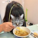 팜스세탁 | 아이들과 치앙마이3주살이 7일차 수영강습시작