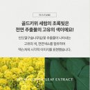 키위글로우 비건 비건 제주 골드키위 세럼 후기 🥝💚