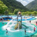 천동물놀이장 이미지