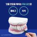 나노치과보존과치과의원 이미지