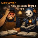 [HD]파이썬으로 하는 데이터 분석 - Pandas 제대로 배우기 | Ai로만 공부해서 AICE Associate 합격하기 1일차 : 용어배우기