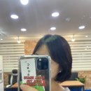 라비쉬헤어 - 남동구 | 라비쉬헤어
