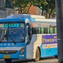 군청사거리~신정사거리 이미지