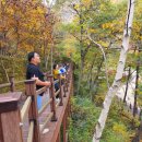 치유, 명상의 숲 이미지