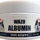 와조펫(WAZOPET) 네이버블로그