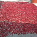 형제봉 농장 이미지