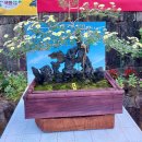 낙동피암터널하천 | 국화 분재 축제