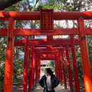 6 | 📍복부/허벅지 지방흡입6개월 후기