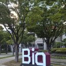 (주)디지탈컨텐츠 | 미디어멤버스 역량강화교육 SNS 알고리즘을 활용한 블로그·인스타그램 운영 전략 교육 후기~!!