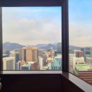 도림 이미지