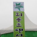 JK농장 | 4월 16일 목요일) 취재 연락처 총정리육지 속 섬 마을부터 40년 전통 밥상, 참외 농장까지 한눈에 정리