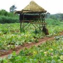 유아창의미술 이미지