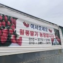 월롱농장 이미지