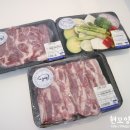 쏠라펜션 이미지