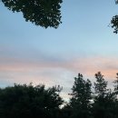 할로오