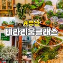 부산테라리움 원데이클래스 이색데이트 제이드앤 후기