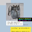 쁘띠플로 | 고야드 쁘띠플로 버킷백 그레이 후기
