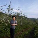 자연설렘 이미지