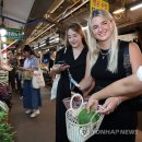 공생야채
