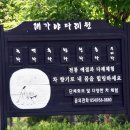 대가야다례원 이미지