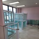 멍사무소 이미지