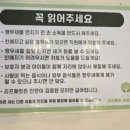 리프패럿 롯데마트 광복점 이미지