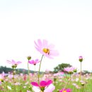 정확한행정사 이미지