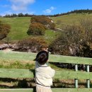 도겸목장 이미지