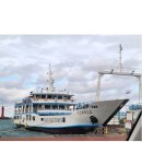 복룡목장 | 제주도 신혼여행기 DAY 4 | 제스코 관광마트&amp;스타벅스 송당점 / 보룡제과 / 제주로운 청해원 / 우도...