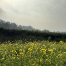 제주 게하 스탭 , 제주 대정읍 5주살이 기록 ㅣ게하 스탭 지원방법, 총 비용, 대정읍맛집리스트, 후기