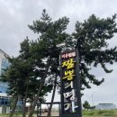 명가공인중개사 앞 그늘막 | 맛집] 군산여행 새만금 비응항 갑오징어 탕수육 쟁반짬뽕 짬뽕의 명가 중식 밥집 내돈내산 후기 "비응반점"