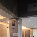 강남횟집 | 서울다찌 강남 다찌 횟집 내돈내산 후기