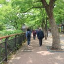 서울대 관악수목원을 다녀왔어요. 이미지