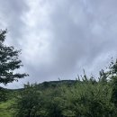 제주의료원 | 제주의료원 할머니 면회 후기 면회시간