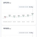 레시피몬스터