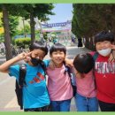 경희대 튼튼태권도 이미지