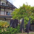 난드르 통나무집 이미지