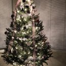 트리트멍멍 이미지