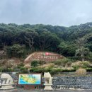 까멜리아 | 거제여행- 장사도 해상공원 까멜리아 후기 (유람선, 소요시간, 코스,세부내용 총 정리)