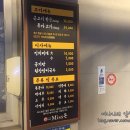 박대호제주 Miss돈 이미지