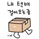 원조 해남고구마빵 피낭시에 - 6463 | 원조 해남고구마빵 피낭시에