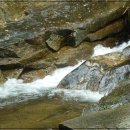 달천계곡 오토캠핑장 이미지